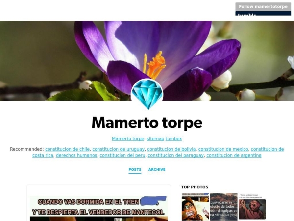 mamertotorpe.tumblr.com